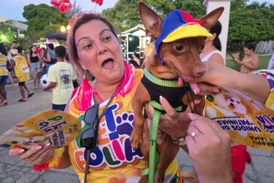 Pets, fantasias e famílias marcam o Bloco Pet Folia no Carnaval Araruama 2026