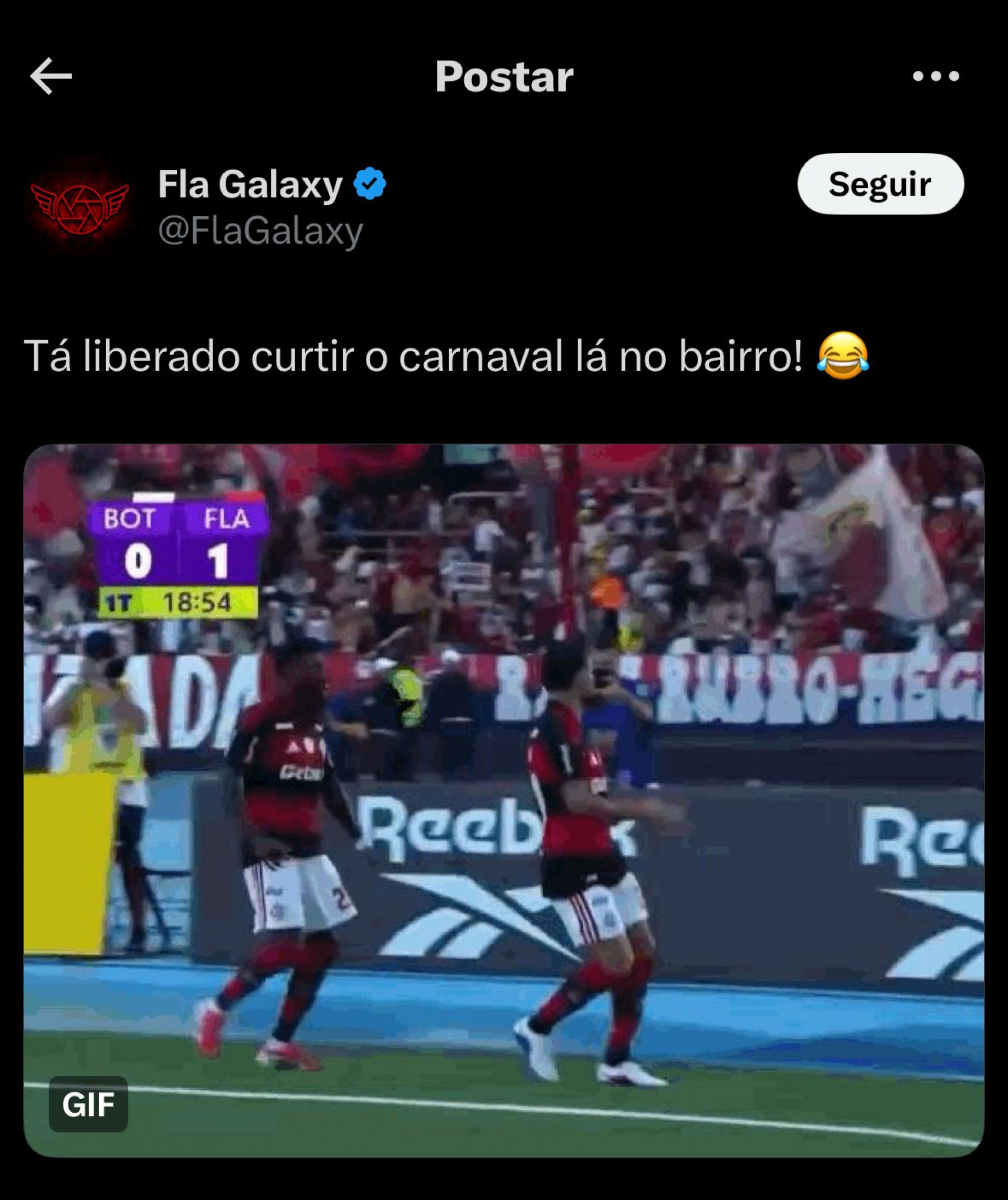 Torcedor do Flamengo provoca o Botafogo - Reprodução
