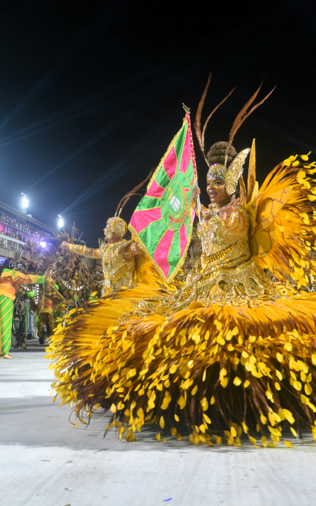 Casal de mestre-sala e porta-bandeira da Mangueira