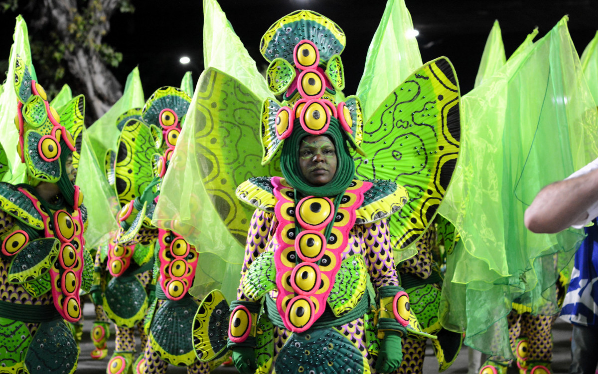Estação Primeira de Mangueira desfila na Sapucaí