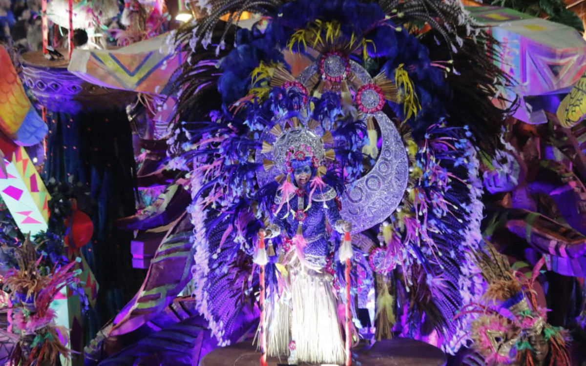 Estação Primeira de Mangueira desfila na Sapucaí