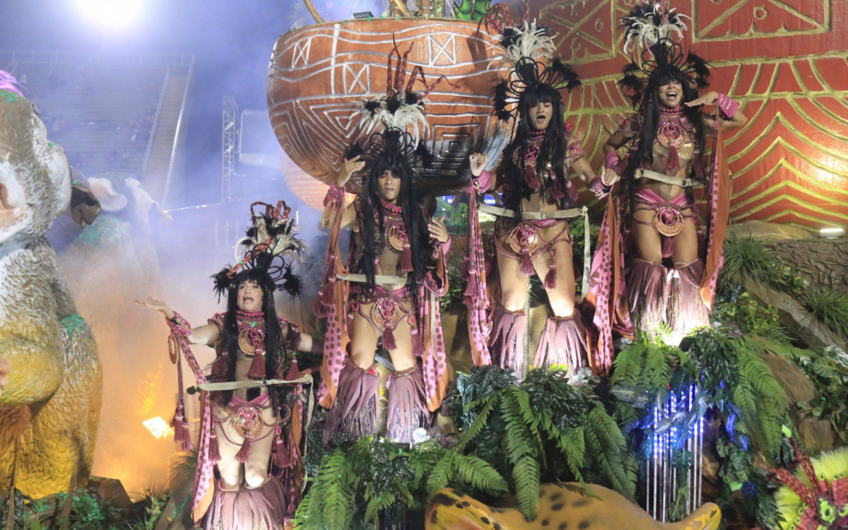 Estação Primeira de Mangueira desfila na Sapucaí