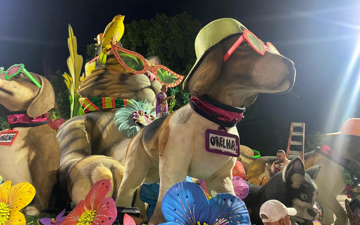 C&atilde;o Orelha ganha homenagem em desfile da Mocidade