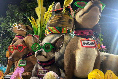 Cão Orelha ganha homenagem em desfile da Mocidade; veja vídeo