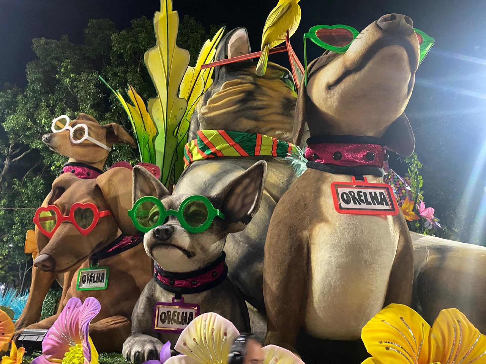 Cão Orelha ganha homenagem em desfile da Mocidade - Thalita Queiroz  