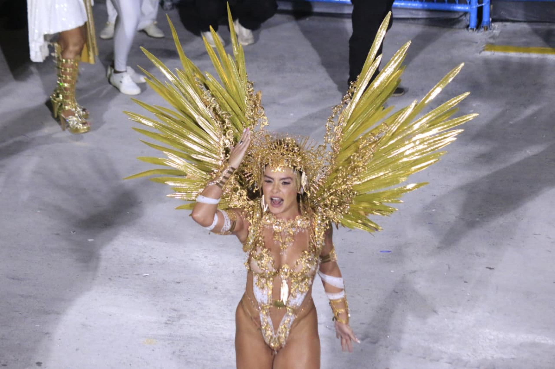 Mocidade fez homenagem à Rita Lee - Carlos Elias/Agência O Dia