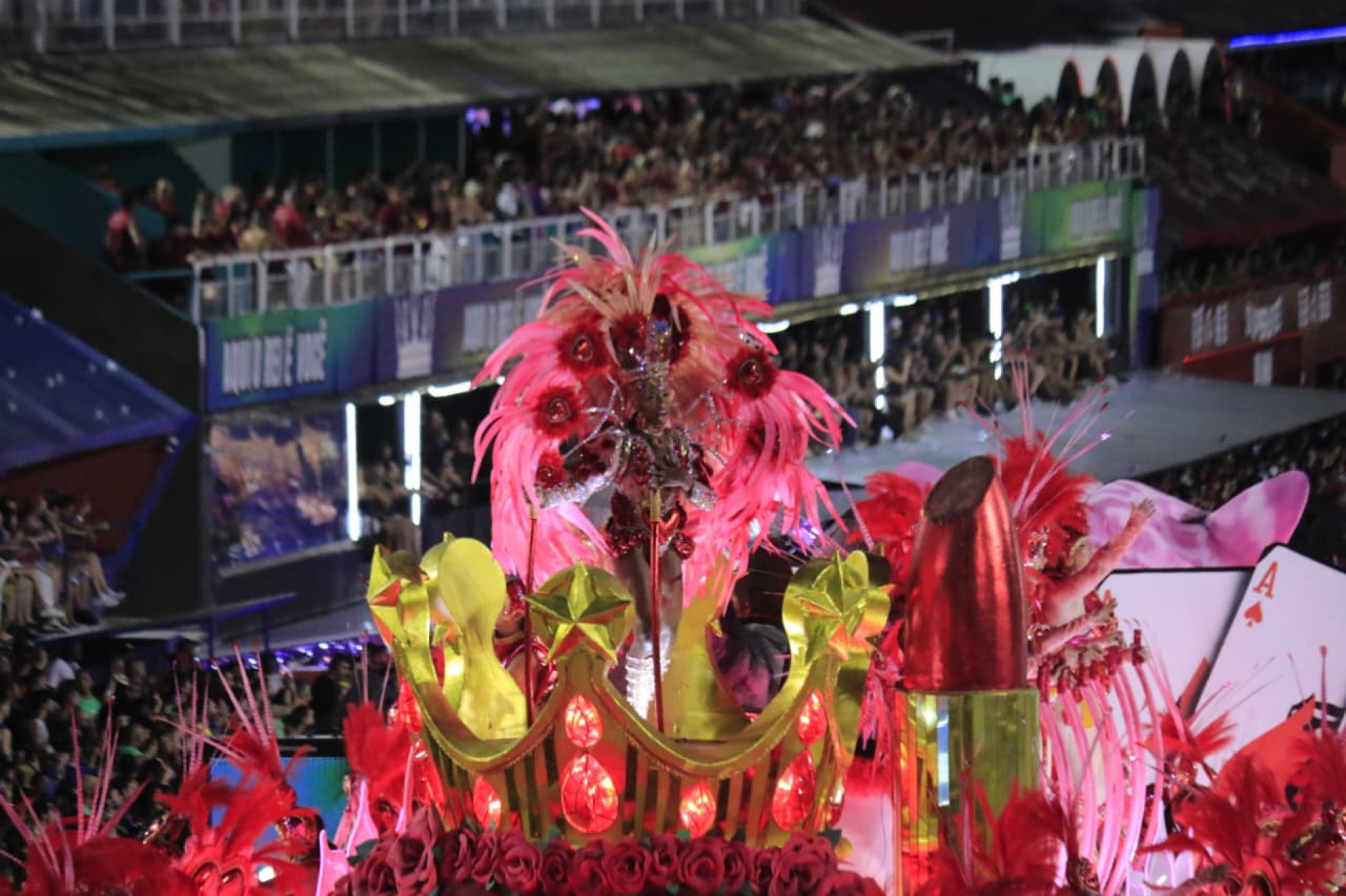Mocidade apresentou enredo sobre vida pública de Rita Lee - Carlos Elias/Agência O Dia