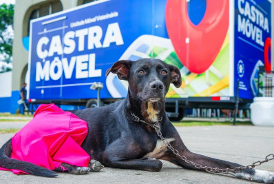 Meriti participa de plano intermunicipal pela defesa dos animais