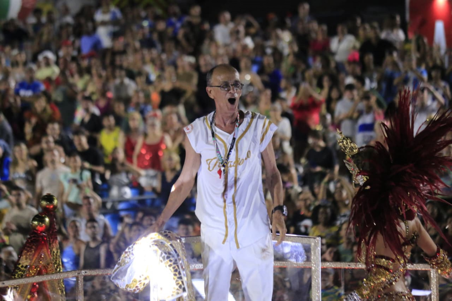 Viradouro mexeu com o coração de todos - Carlos Elias/Agência O Dia