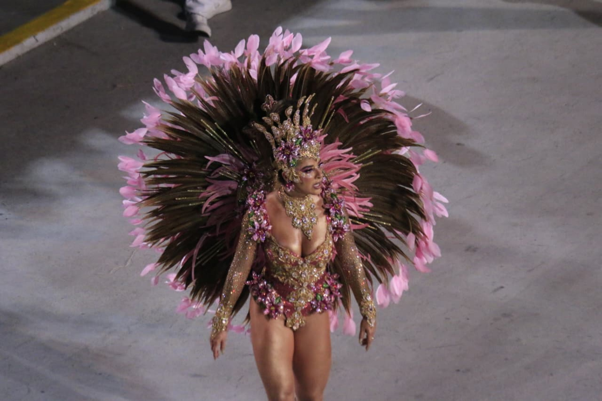 Escritora brasileira e uma das maiores vozes negras da literatura foi homenageada pela Tijuca - Carlos Elias/Agência O Dia