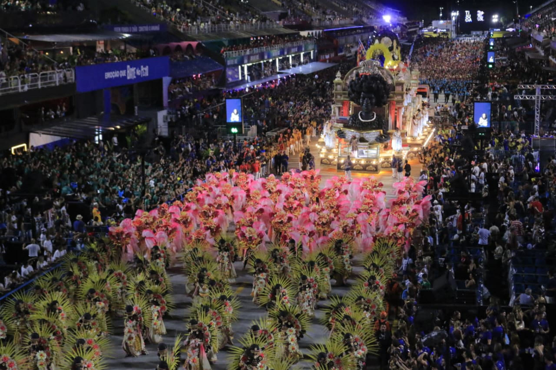 Escritora brasileira e uma das maiores vozes negras da literatura foi homenageada pela Tijuca - Carlos Elias/Agência O Dia