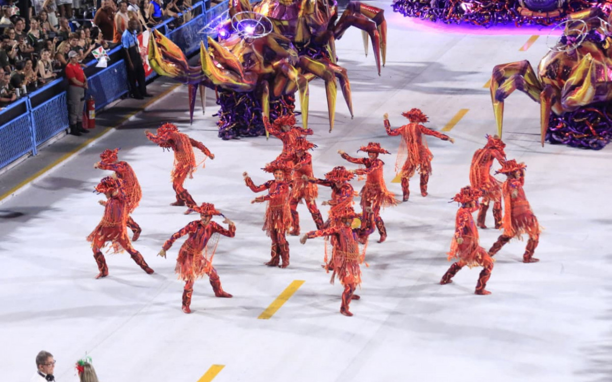 Grande Rio não decepcionou os seus torcedores