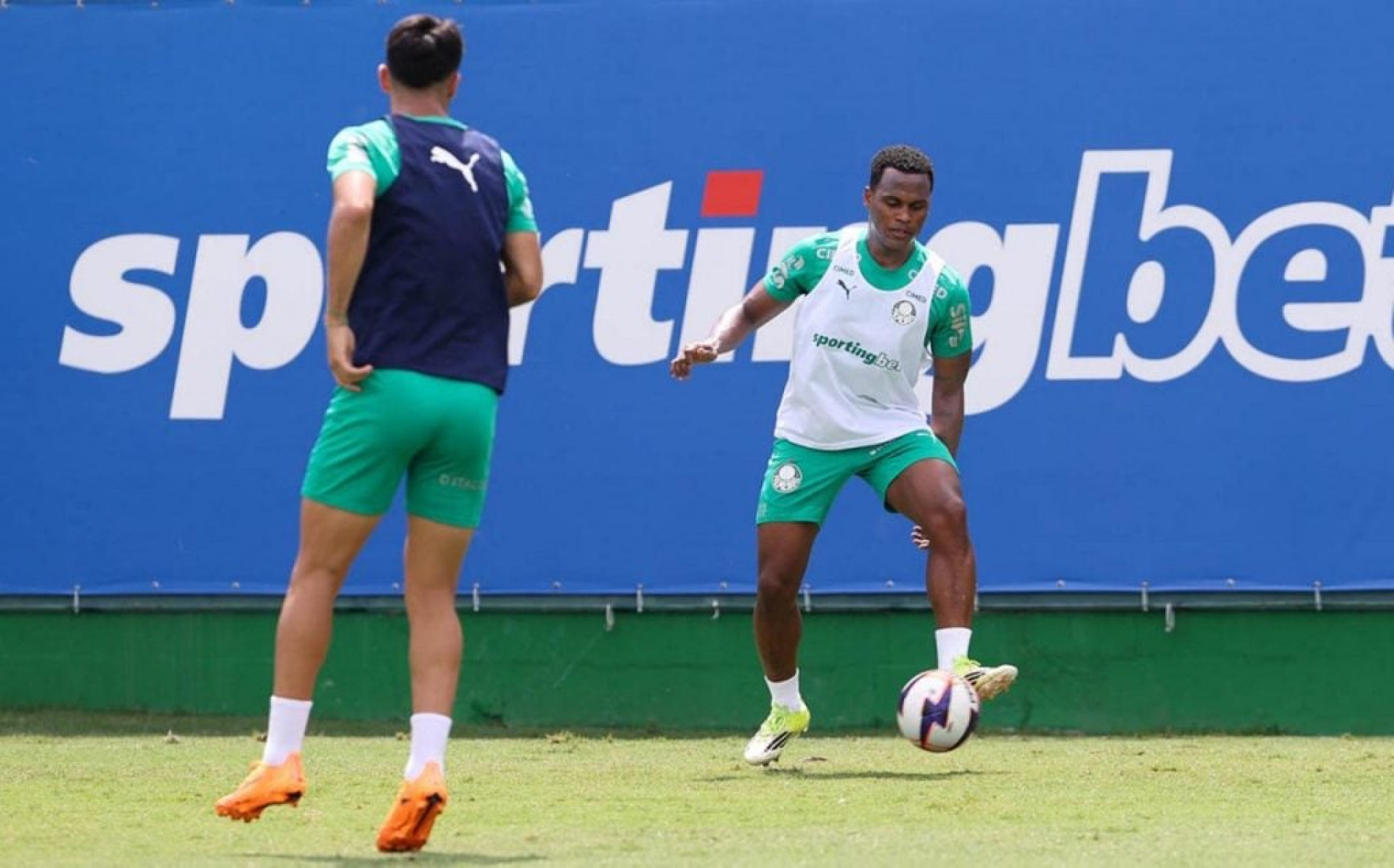 Arias treina com o elenco do Palmeiras e pode ser novidade nas quartas do Paulist&atilde;o