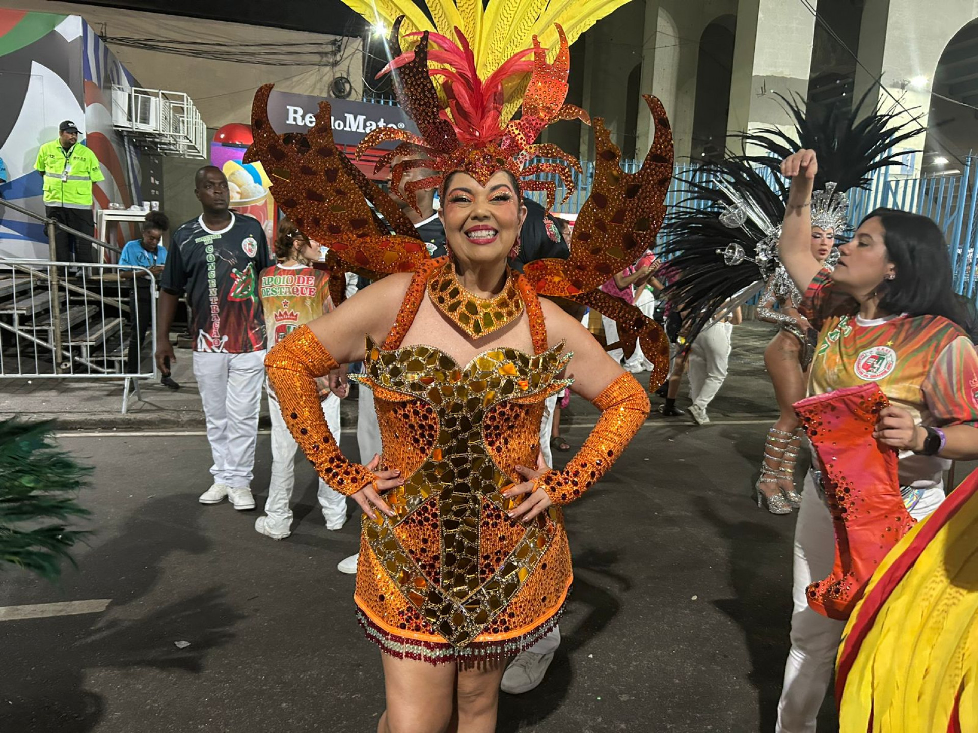Fabiana Karla se apresentará pela Grande Rio na Sapucaí - Ana Fernanda Freire / Agência O Dia
