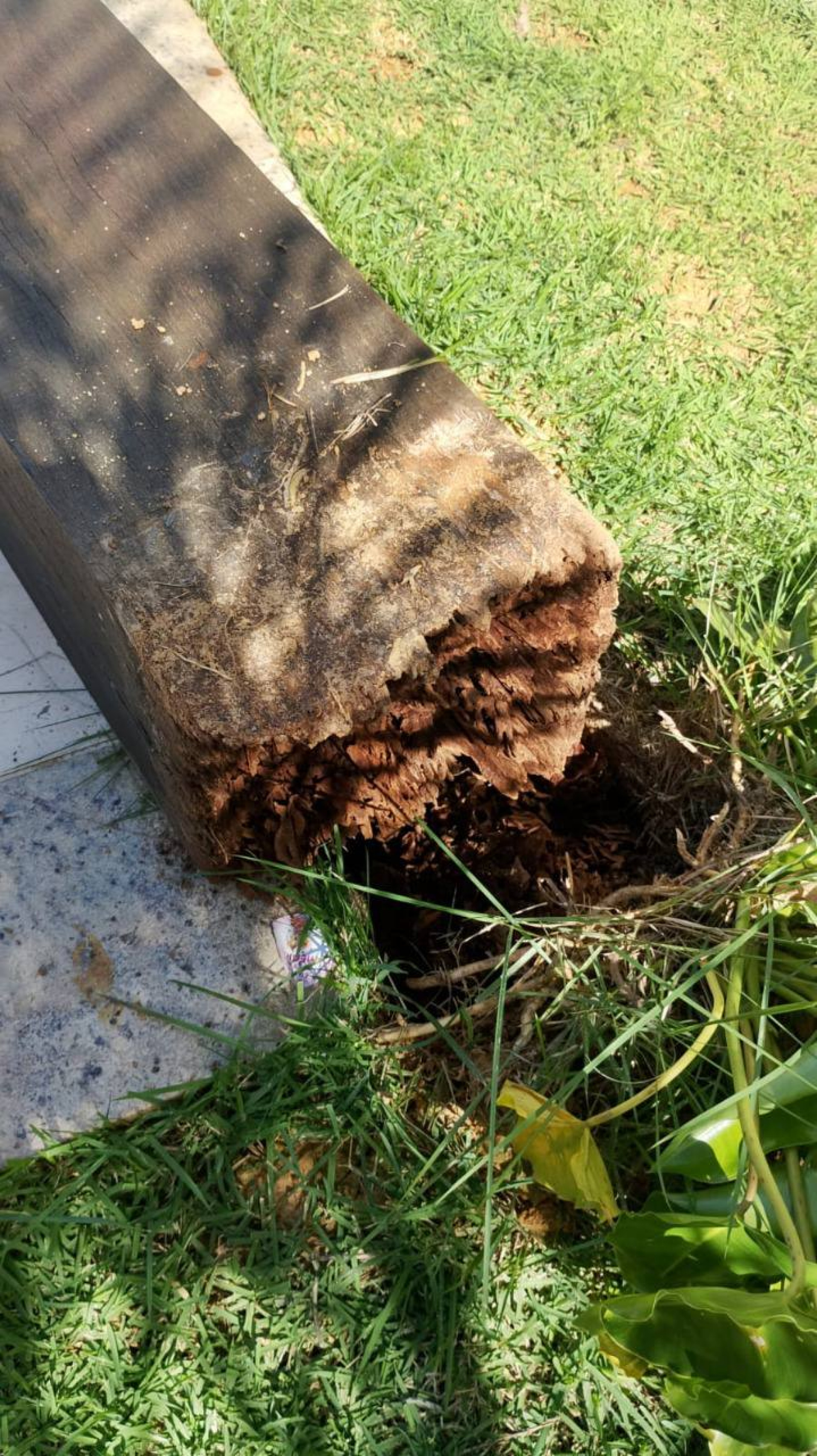 Estrutura de madeira atingiu as crianças  - Divulgação/ CBMMG