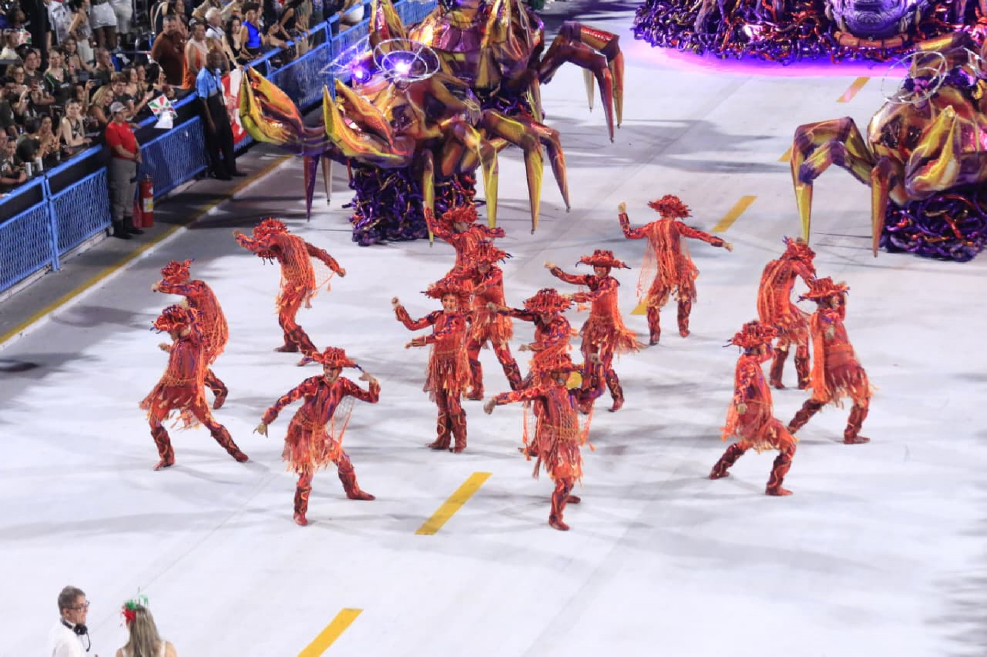 Grande Rio não decepcionou os seus torcedores - Carlos Elias/Agência O Dia