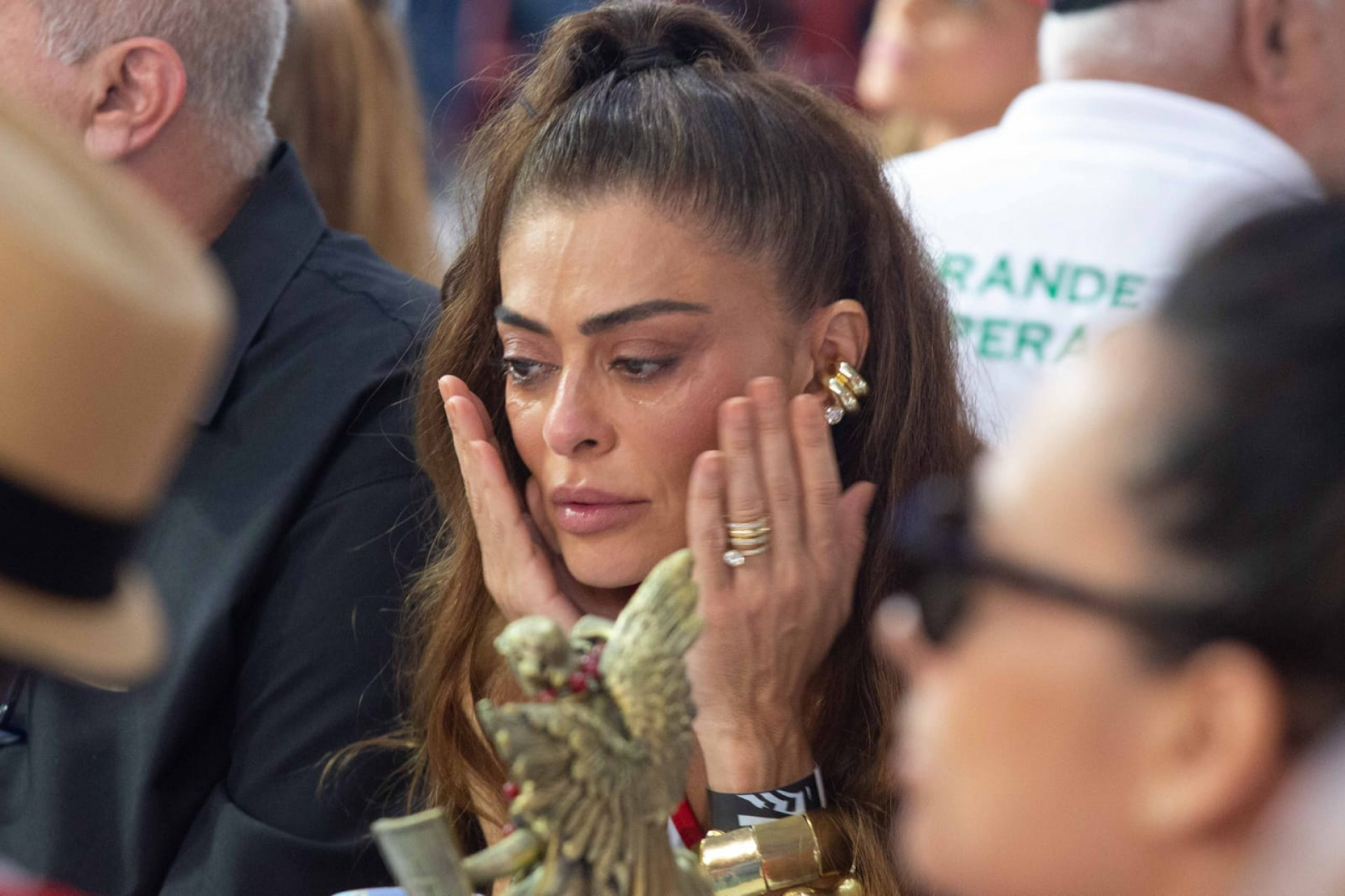 Juliana Paes é a rainha de bateria da Viradouro - Érica Martin / Agência O Dia