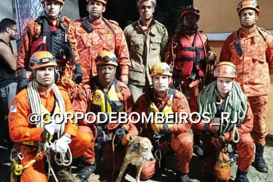 Corpo de Bombeiros resgata cão ilhado em cachoeira no Itamarati