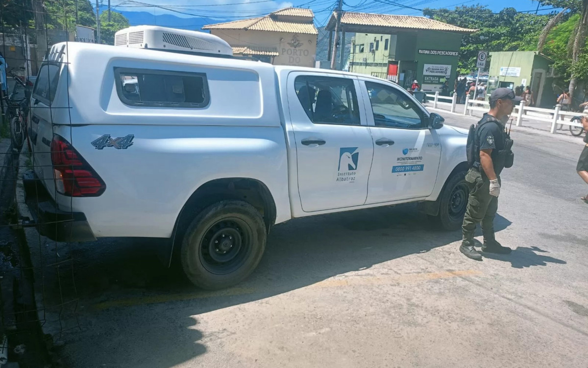 Tartaruga marinha é resgatada 