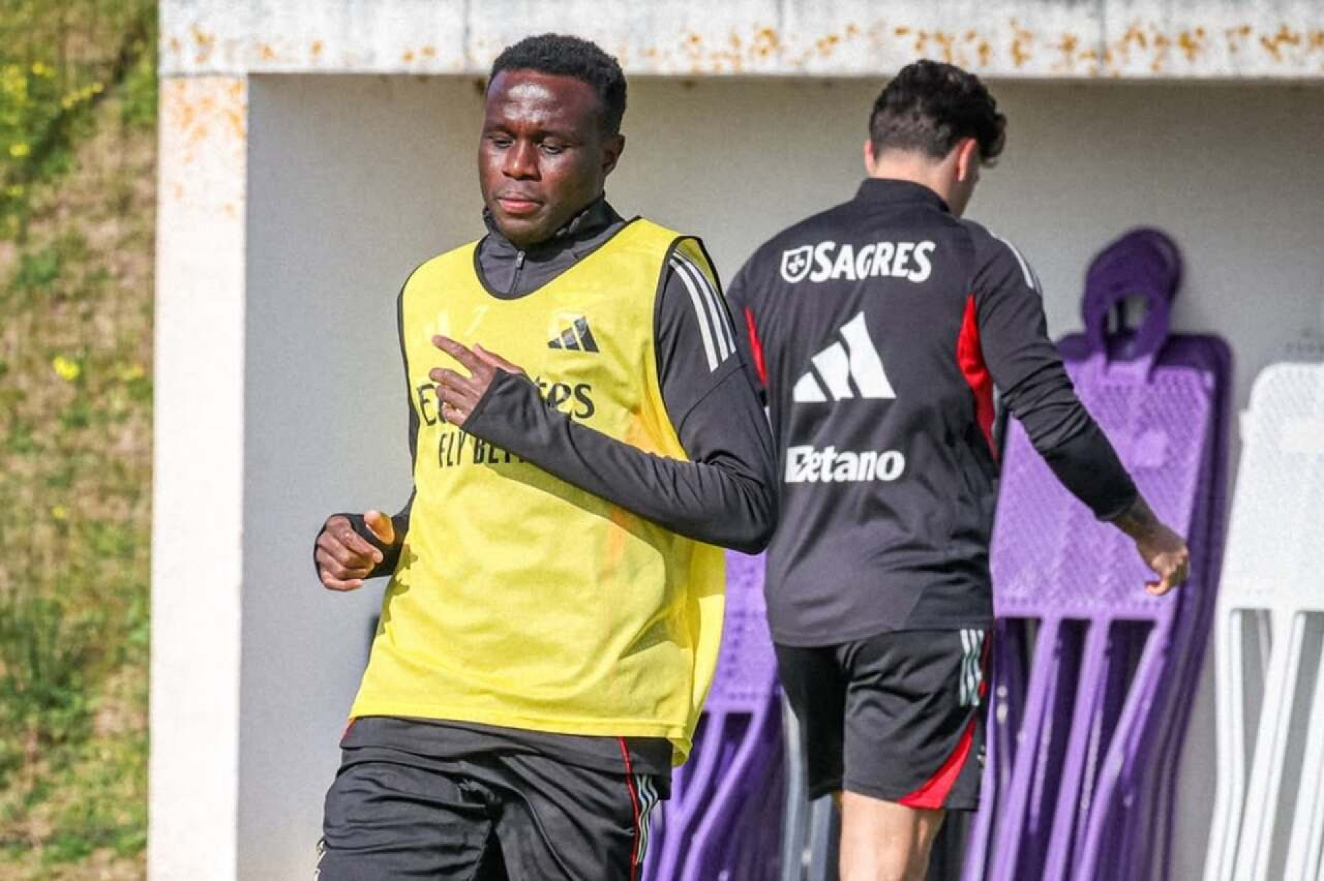 Benfica x AVS SAD: Onde assistir, escala&ccedil;&otilde;es e arbitagem