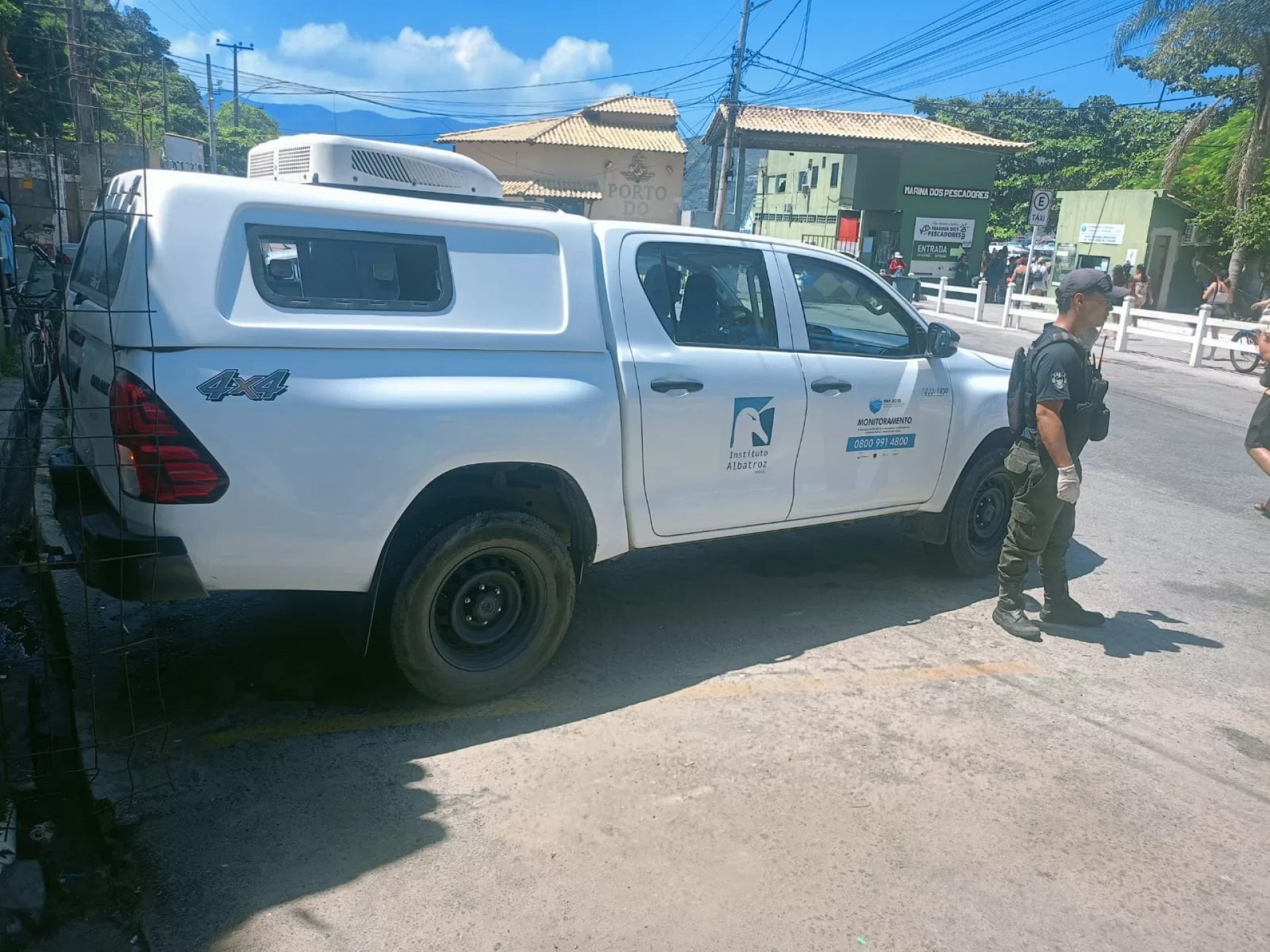 Tartaruga marinha &eacute; resgatada  - Ascom