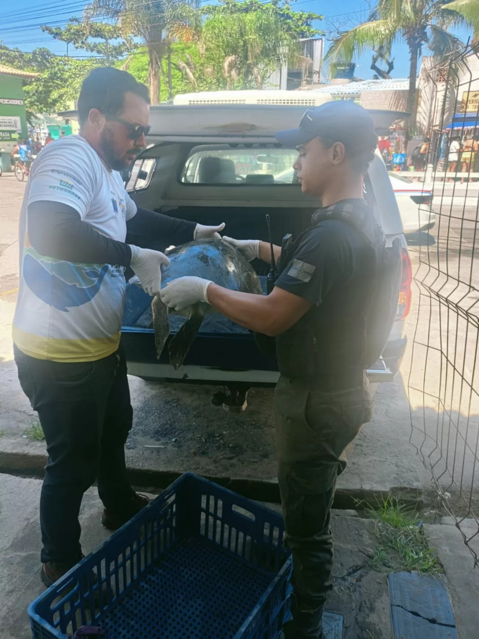 Tartaruga marinha é resgatada 