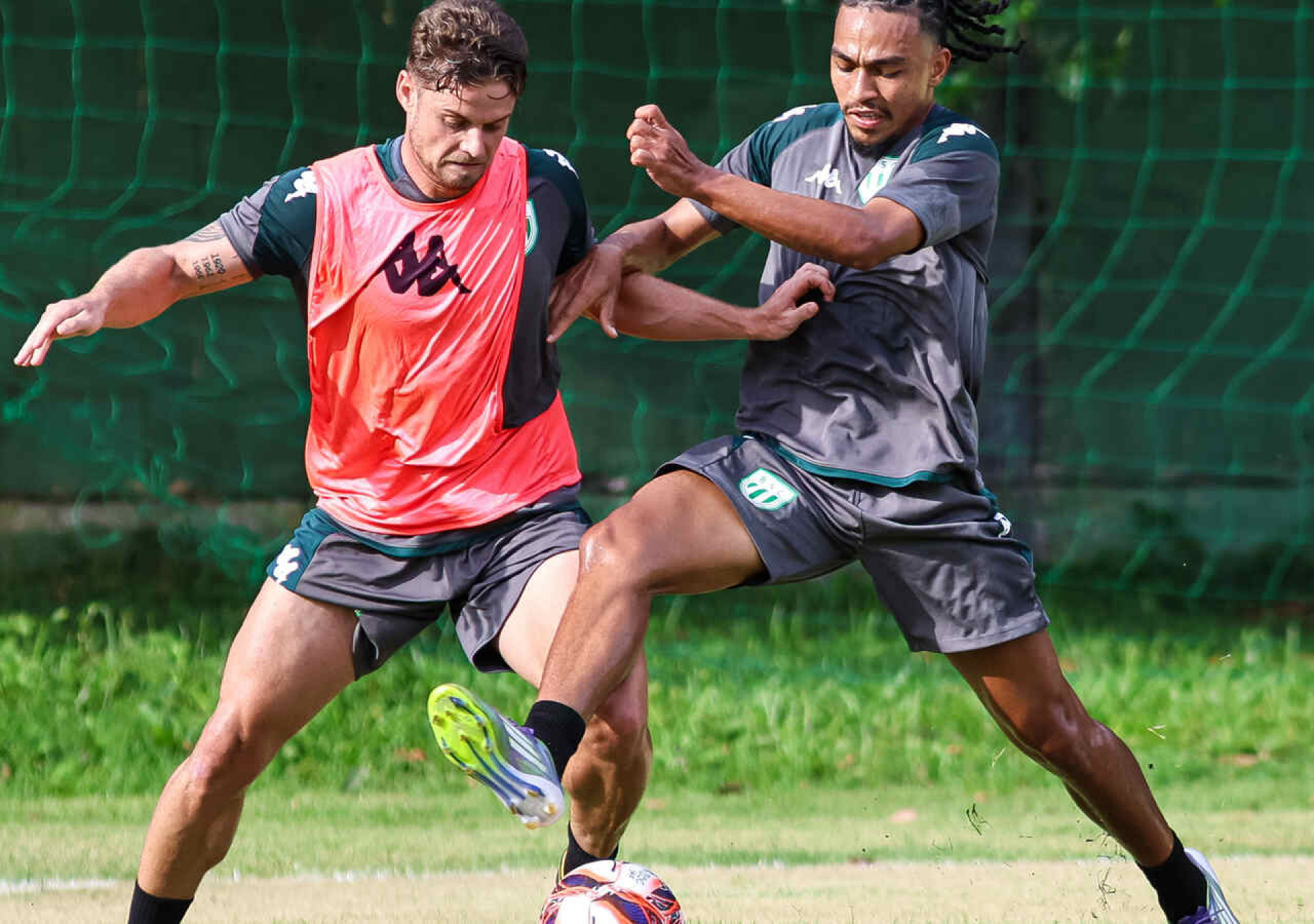 Boavista x Botafogo: onde assistir, escala&ccedil;&otilde;es e arbitragem