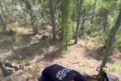 Ação do GAT I em Cabo Frio apreende drogas avaliadas em R$ 250 mil em área de mata