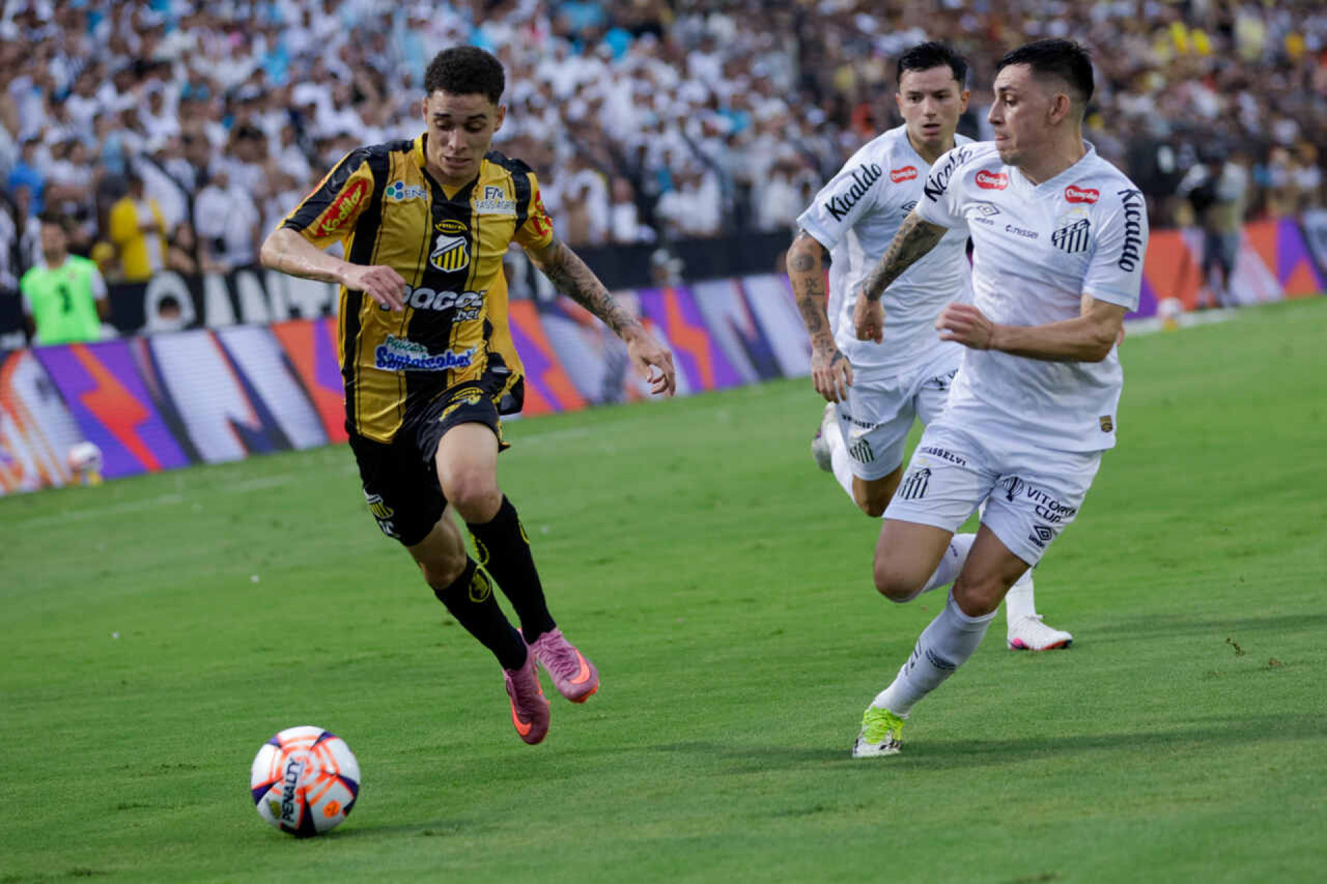 Vojvoda e a elimina&ccedil;&atilde;o do Santos no Paulist&atilde;o: “Tristeza”