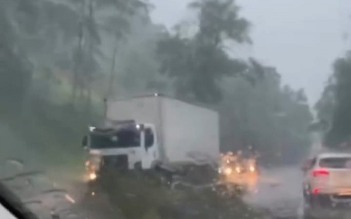 Queda de árvore na Rio-Santos altura da Monsuaba