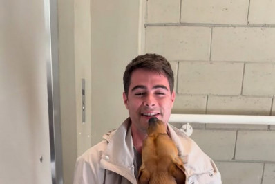 Rafael Vitti revê Amendoim, cachorro do filme 'Caramelo', e reação viraliza