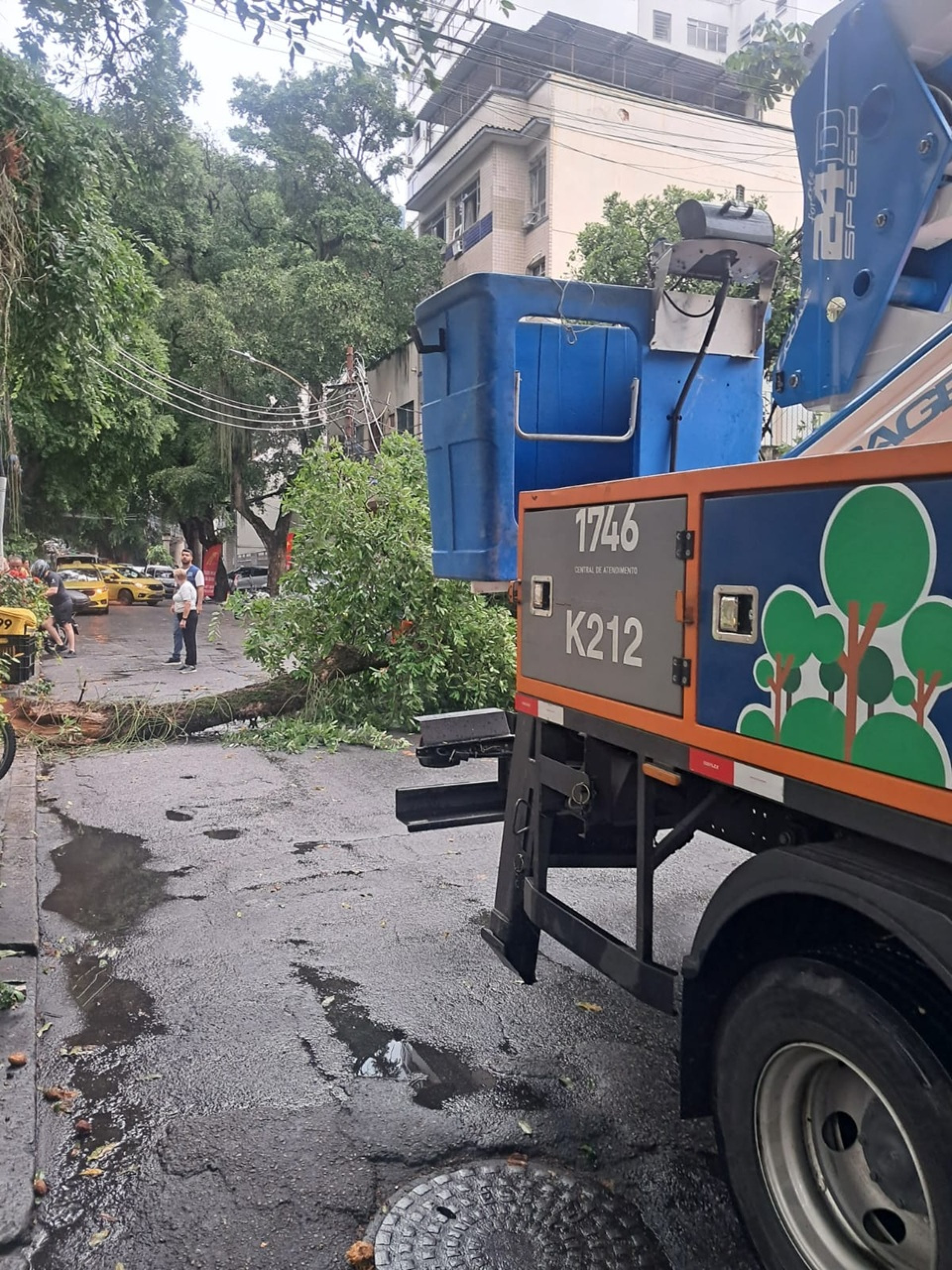 Uma árvore caiu na Rua General Roca, altura da Rua Guapiara, na Tijuca - Reprodução/X/COR