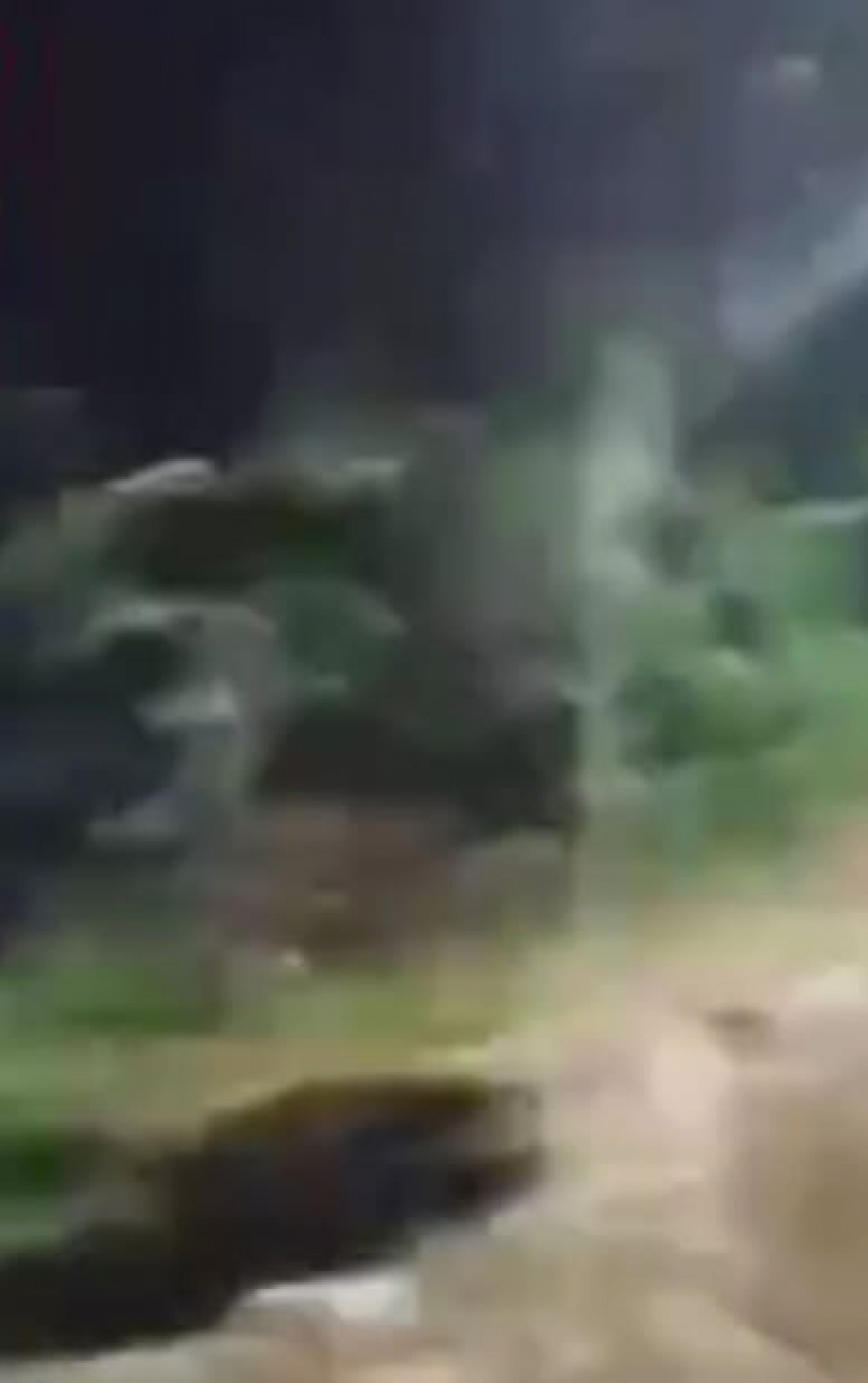 Alagamentos e quedas de &aacute;rvores pelo munic&iacute;pio - Divulga&ccedil;&atilde;o/Rede Social