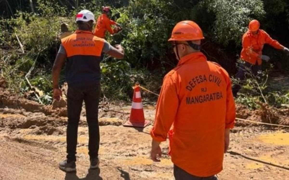 Queda de árvore na Serra do Piloto
