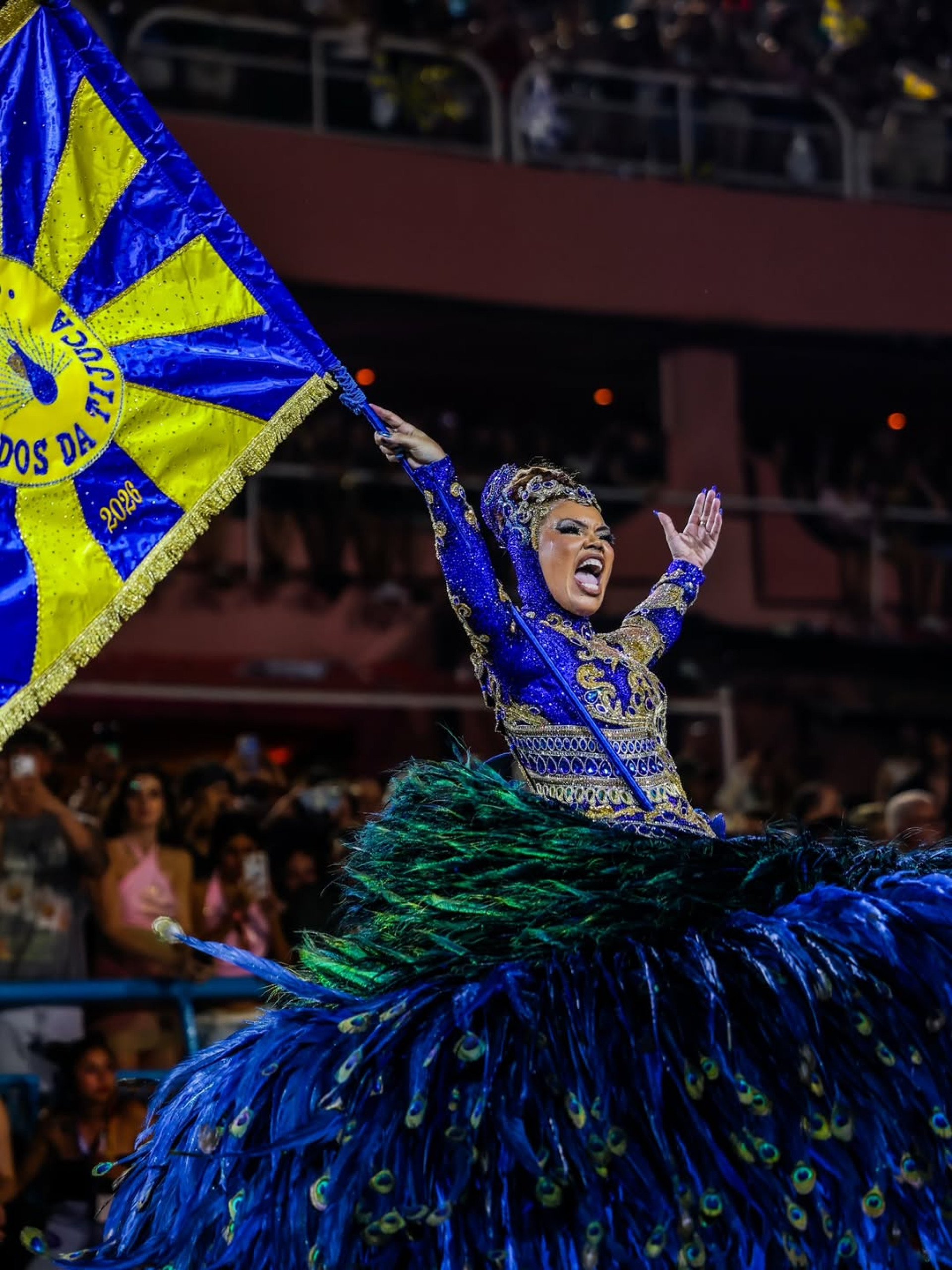 Lucinha Nobre comunicou aposentadoria como porta-bandeira - Reprodu&ccedil;&atilde;o/Instagram 