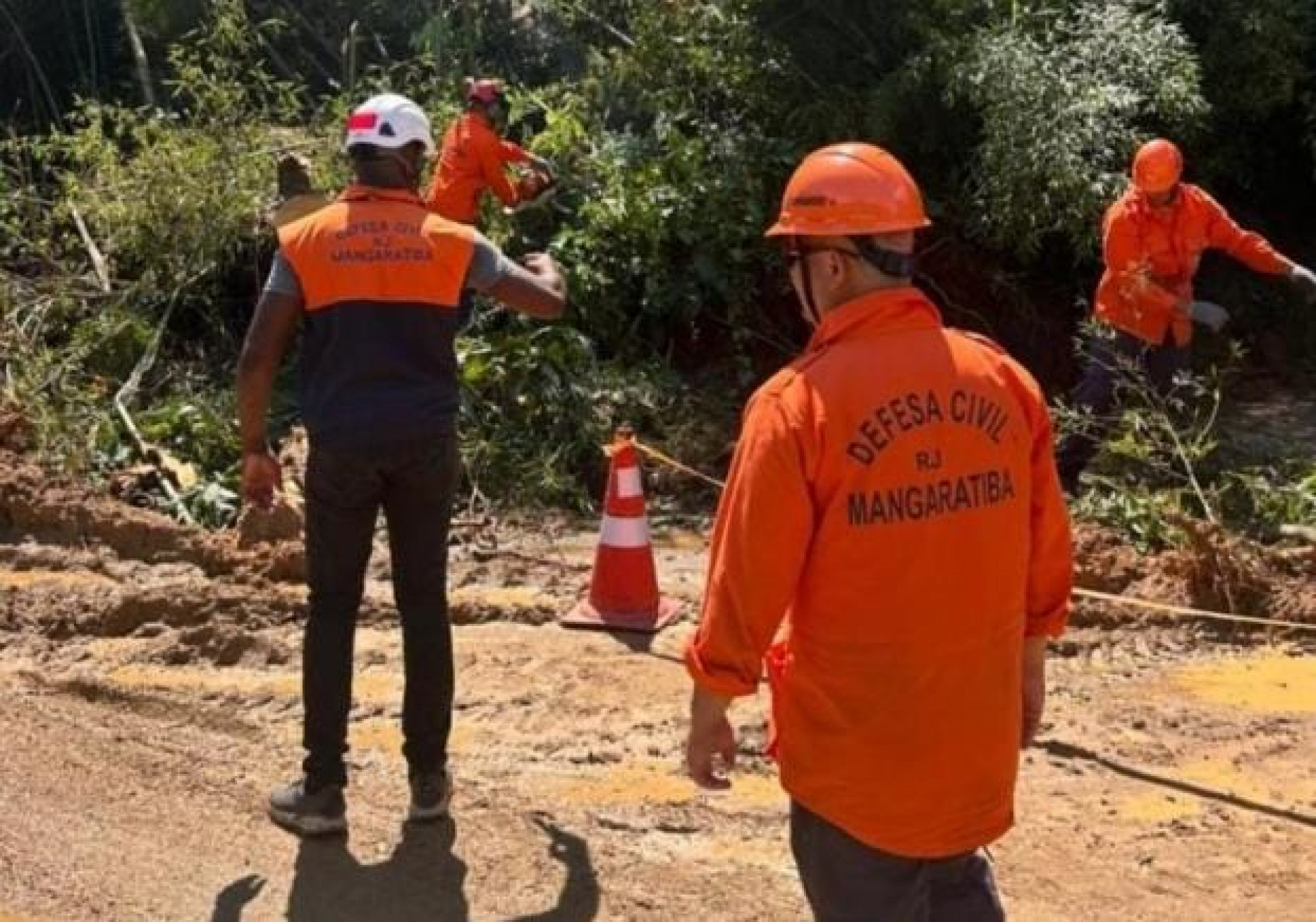Queda de &aacute;rvore na Serra do Piloto - Divulga&ccedil;&atilde;o/PMM