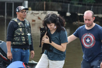 Senado aprova política de proteção a animais resgatados em desastres