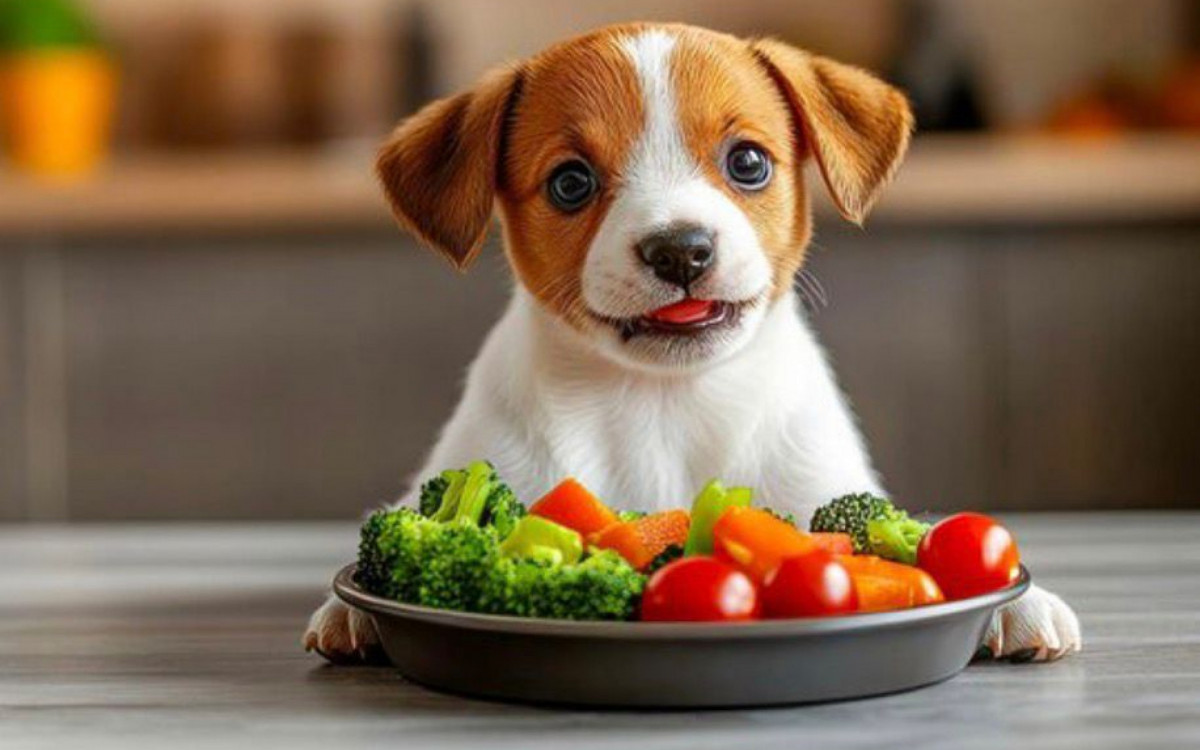 Entre as estratégias para o controle do peso, a alimentação natural surge como aliada