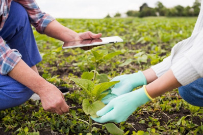 Solo Vivo é lançado em Cambuci, focado na modernização da produção rural