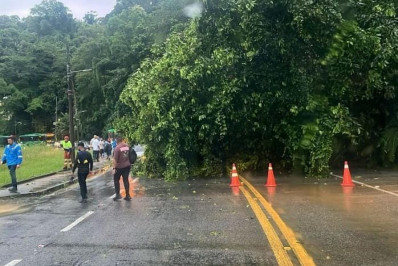 Árvore é removida e Rio-Santos desobstruída em Angra dos Reis