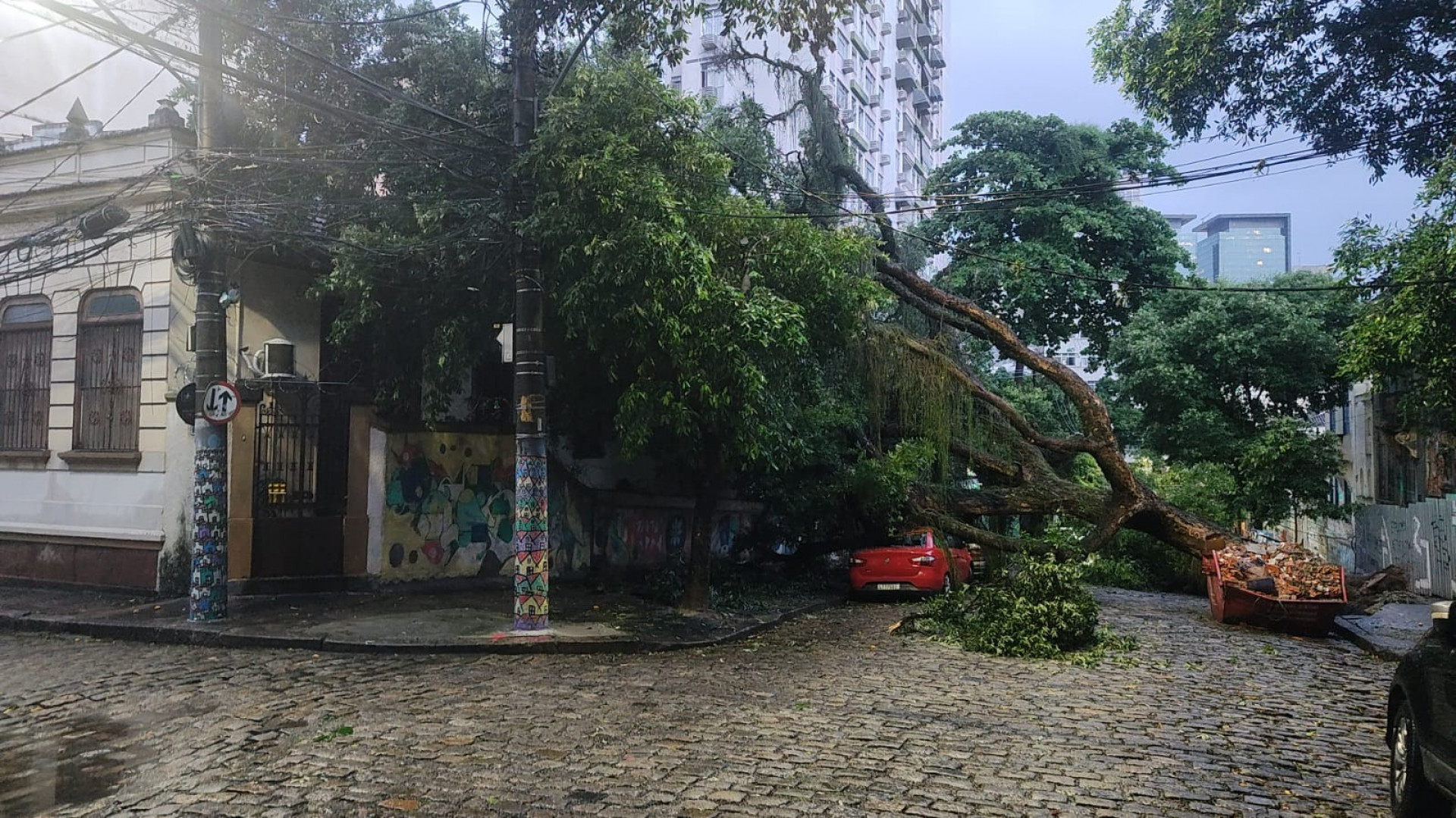 Queda de árvore sob fiação na Rua Sílvio Romero, na altura da Rua Riachuelo, em Santa Teresa - Divulgação/COR