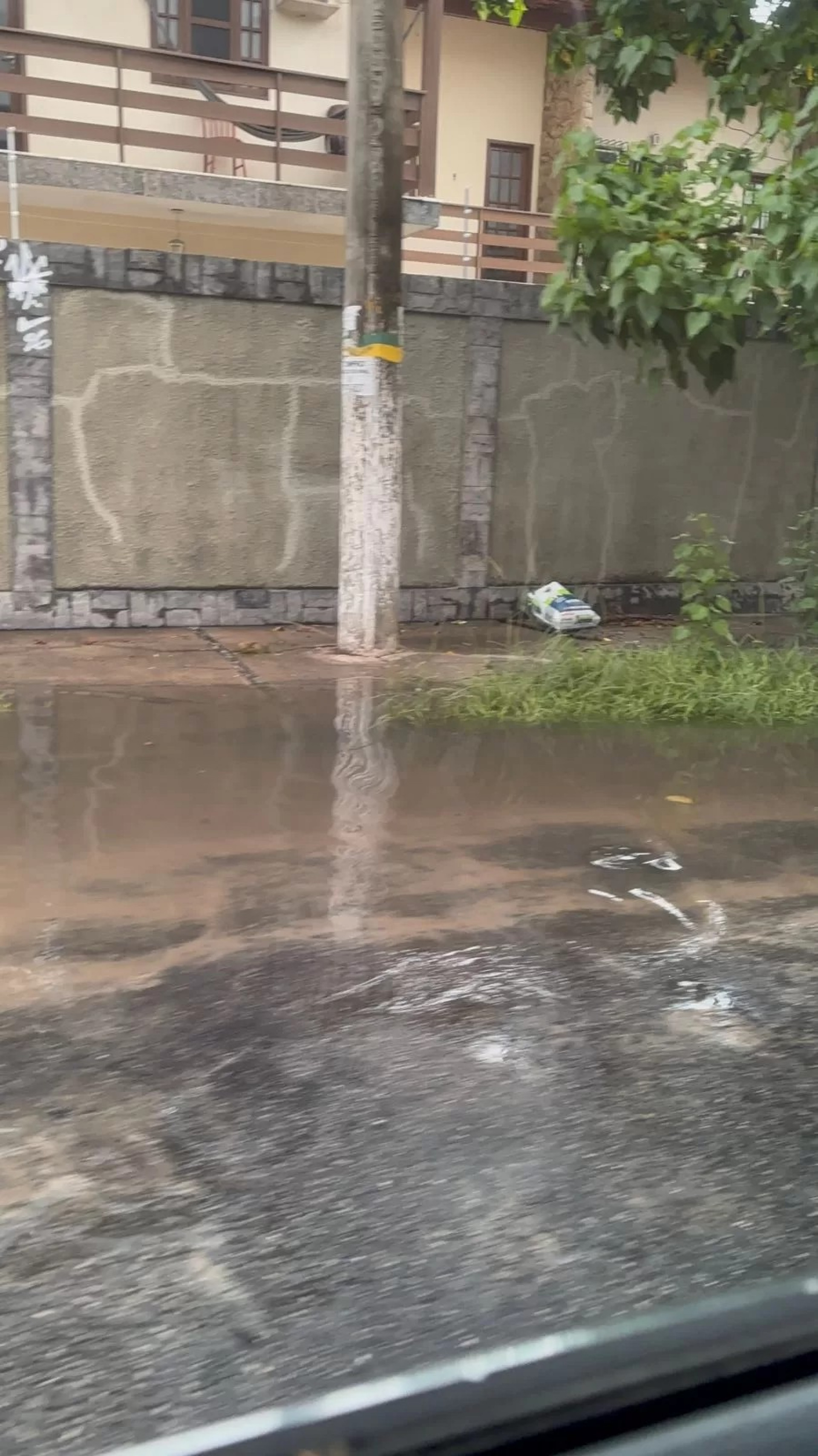 Alagamentos - Reprodu&ccedil;&atilde;o