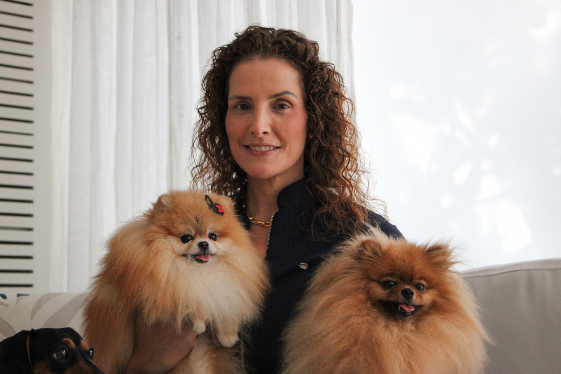 M&eacute;dica veterin&aacute;ria Carla Periss&eacute;, especializada em dermatologia veterin&aacute;ria - Divulga&ccedil;&atilde;o