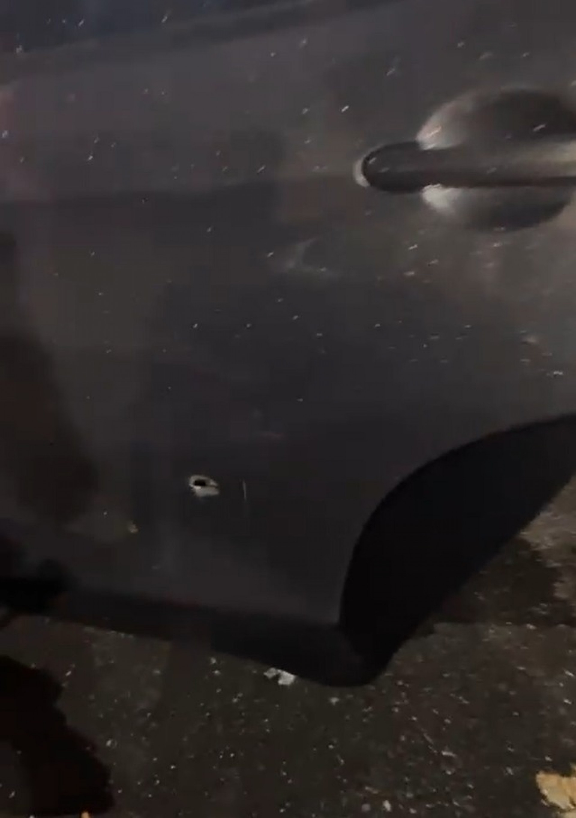 Marca de tiro no carro dos bandidos - Reprodução / PMERJ