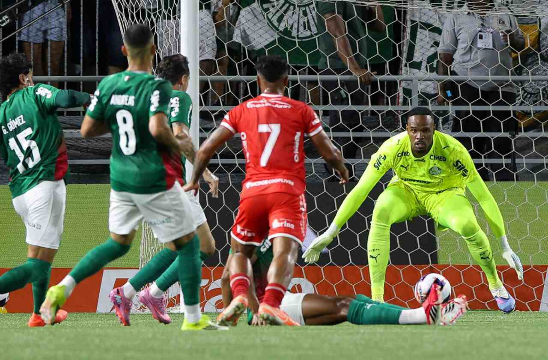 Carlos Miguel chega &agrave; semifinal do Paulist&atilde;o defendendo escrita pelo Palmeiras