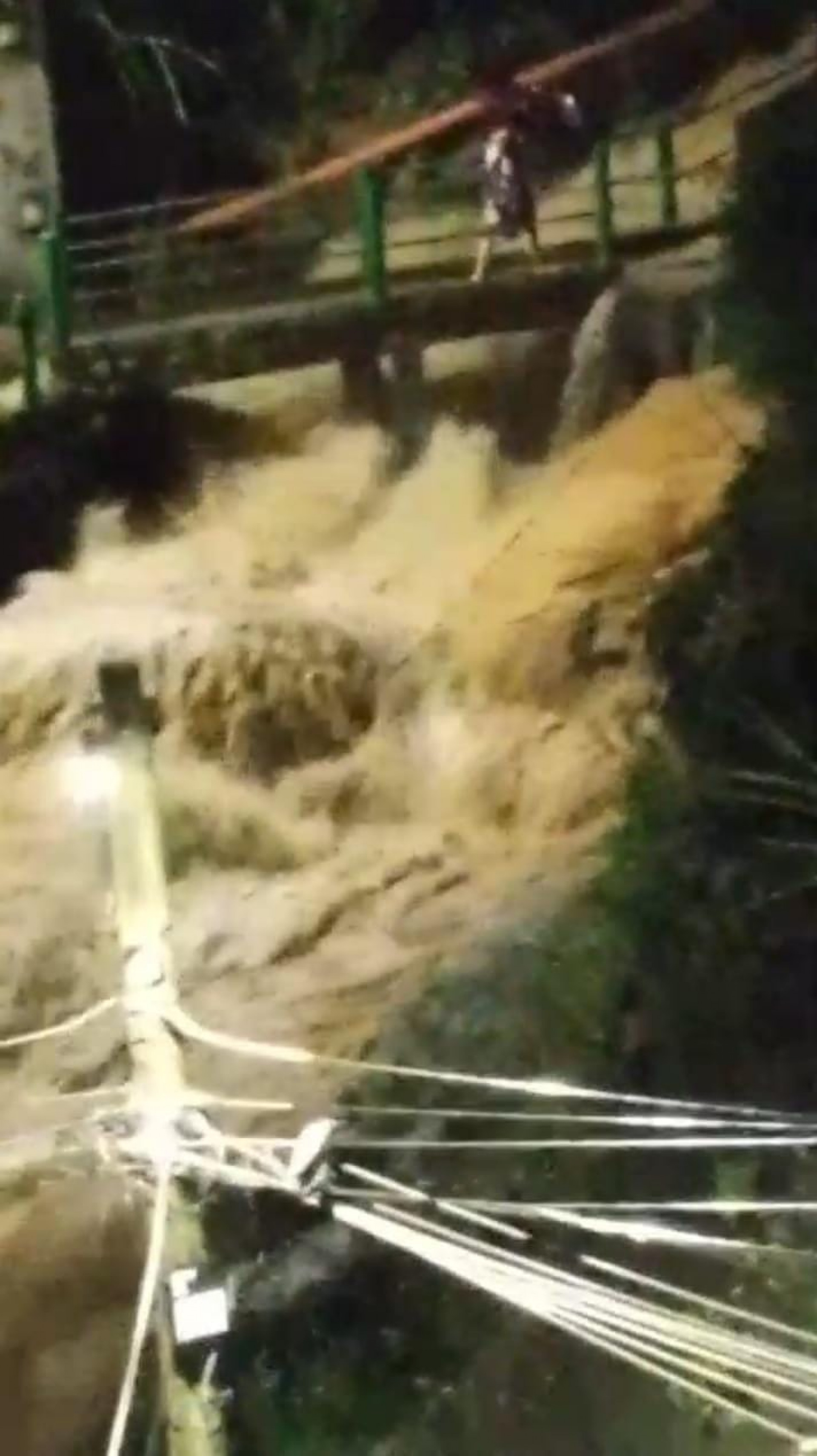 &Aacute;gua desce da mata na altura do Bic&atilde;o no Morro do Santo Ant&ocirc;nio centro - Divulga&ccedil;&atilde;o