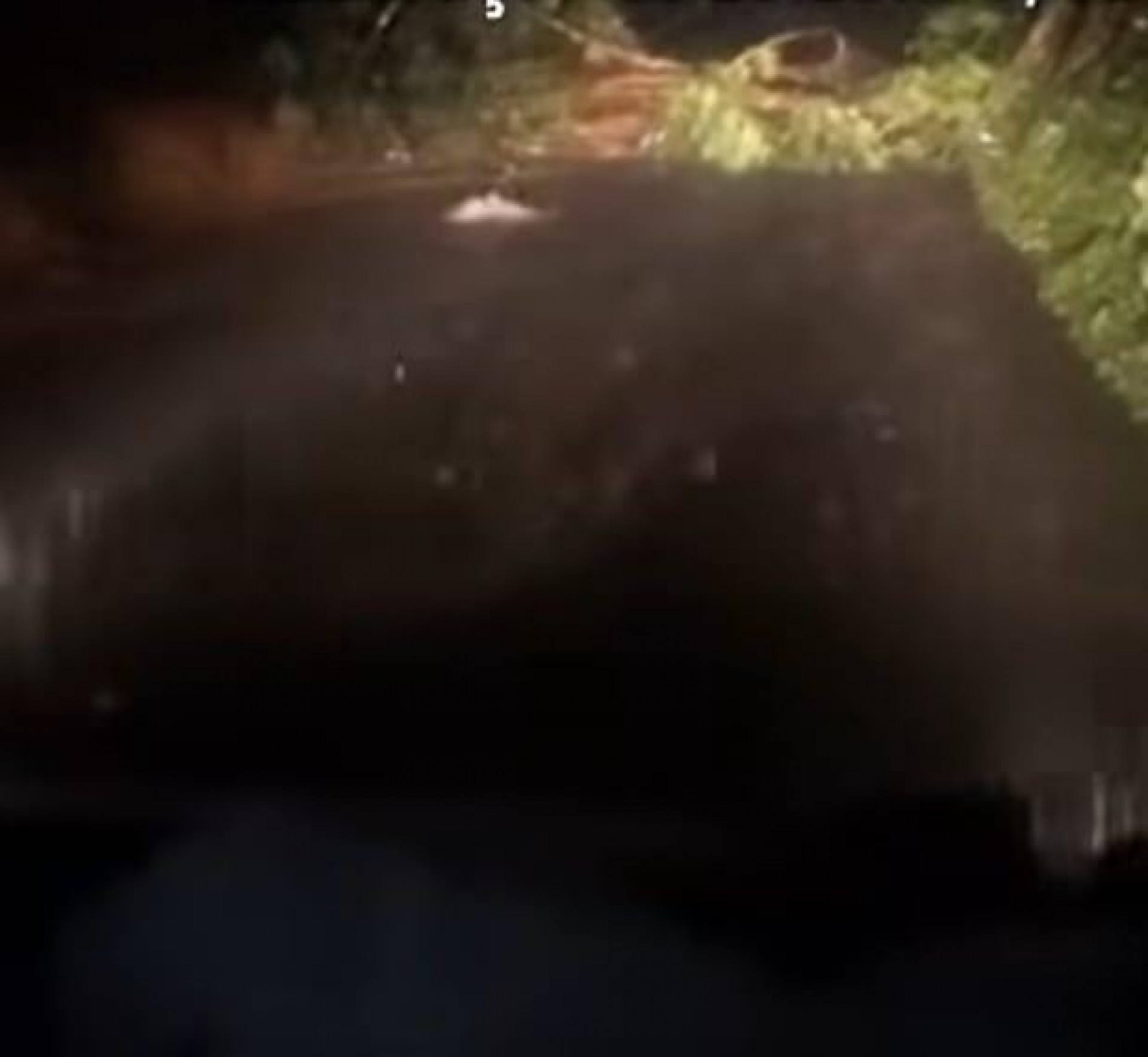 RJ 155 queda de barreira na altura da Serra D'&aacute;gua - Divulga&ccedil;&atilde;o