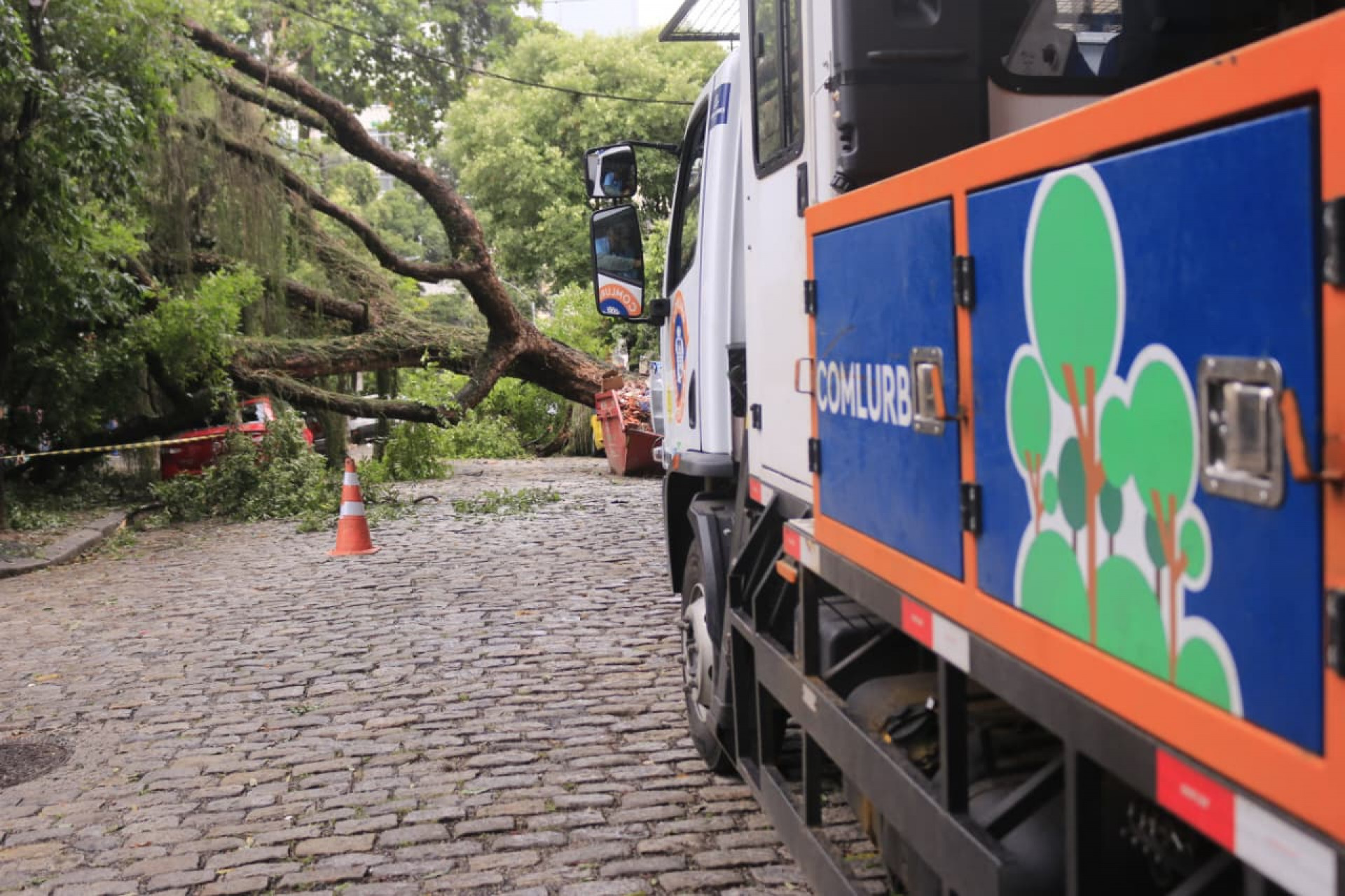 Árvore caiu na Rua Sílvio Romero e atingiu carros estacionados - Carlos Eliais/Agência O DIA