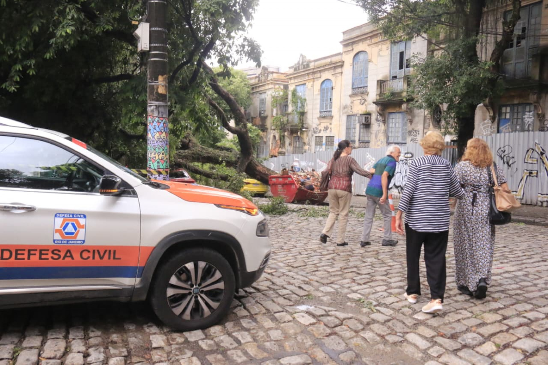Árvore caiu na Rua Sílvio Romero e atingiu carros estacionados - Carlos Eliais/Agência O DIA