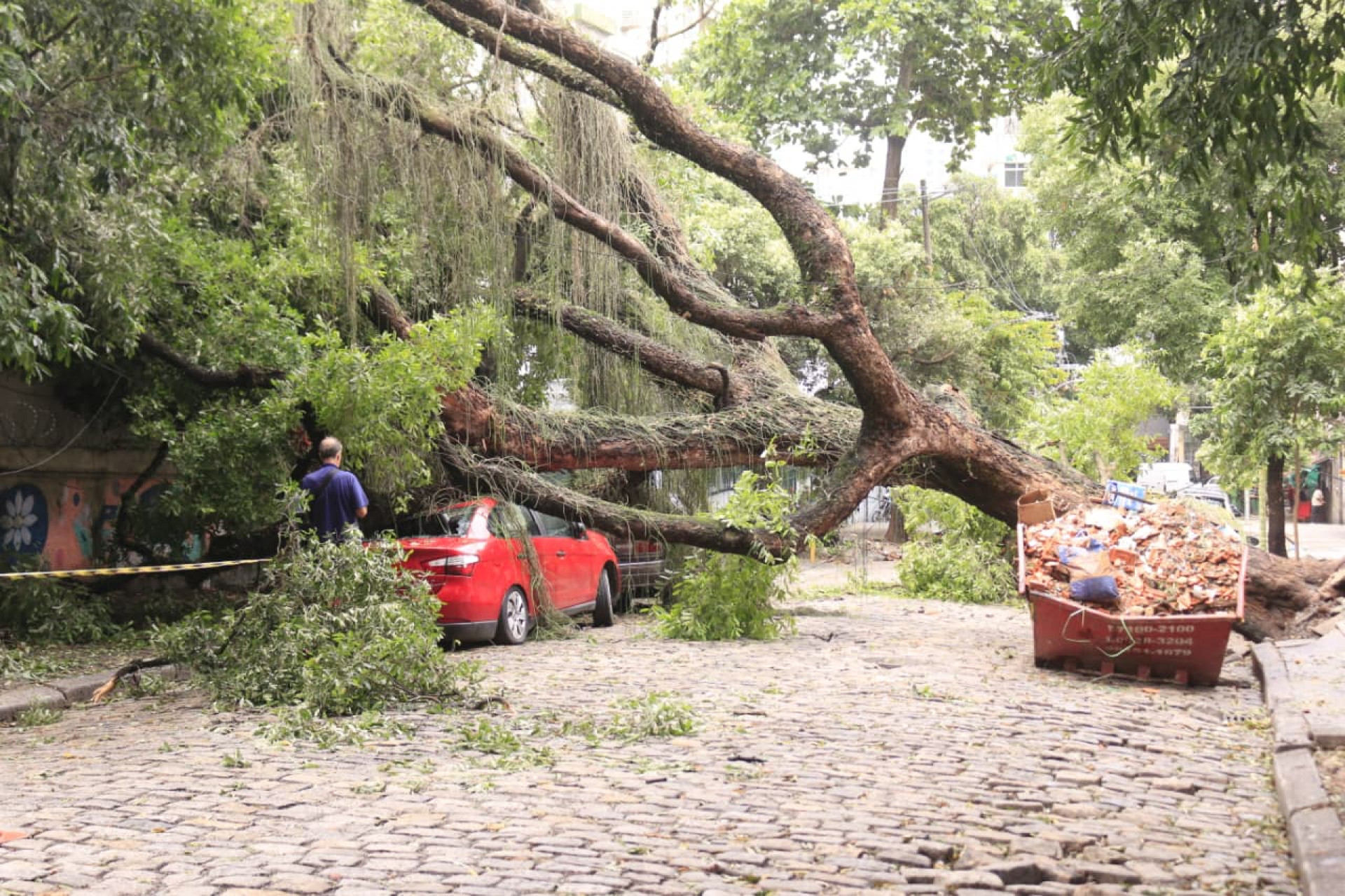 Árvore caiu na Rua Sílvio Romero e atingiu carros estacionados - Carlos Eliais/Agência O DIA
